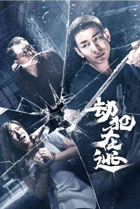 《劫犯在逃》免费在线播放｜剧情·中国大陆
