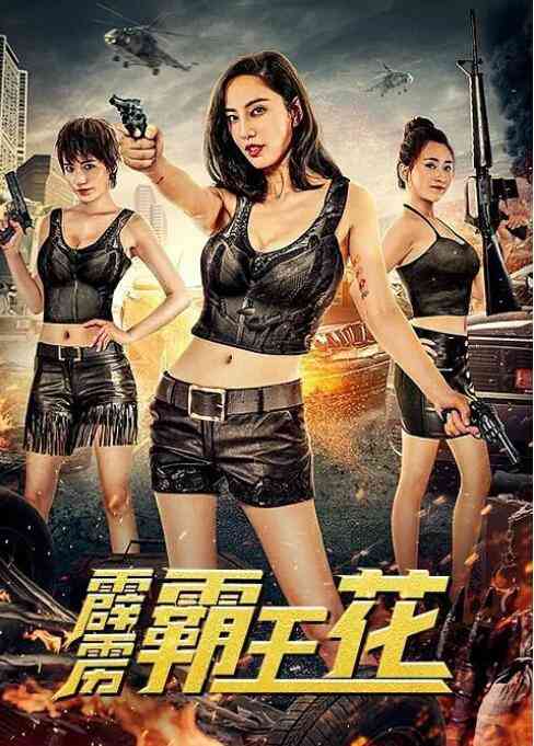 《霹雳霸王花》免费在线播放｜喜剧,犯罪·中国大陆
